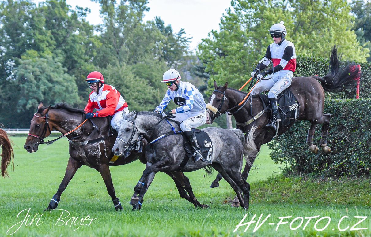 DSC_2216 kopie.jpg